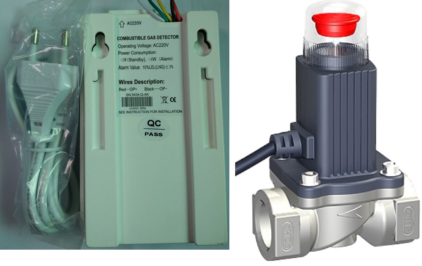 Gas detector with solenoid valve